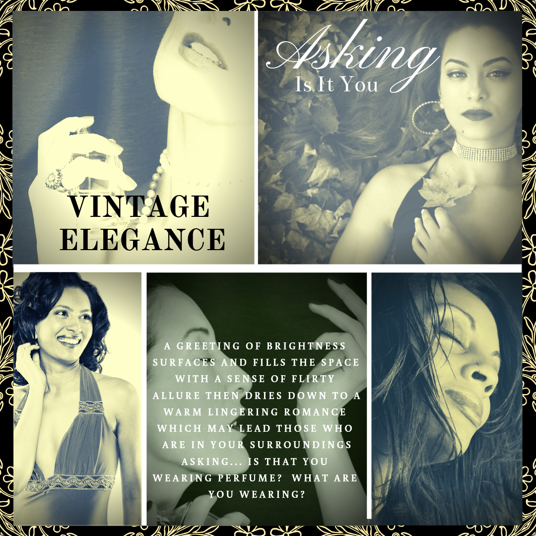 PreSale - Asking - A Purple Box Co.